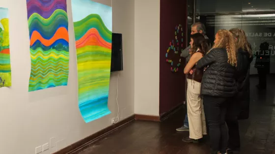 109099-casa-de-salta-inaugura-ida-y-vuelta-muestra-de-arte-contemporaneo-saltenio-en-buenos-aires
