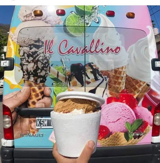 il cavallino