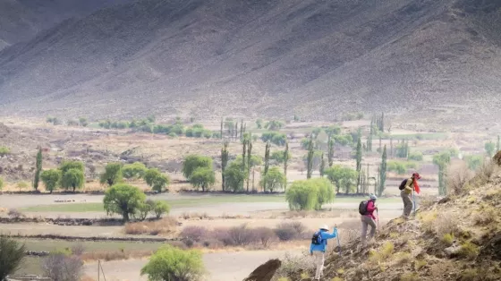 22160-con-una-agenda-federal-y-conectividad-record-salta-recibio-a-mas-de-267000-turistas