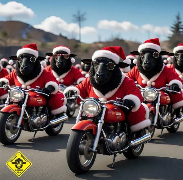 OVERJASNEGRASMOTO