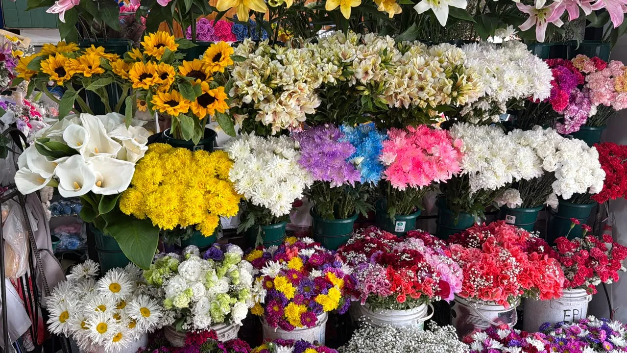 esquina-de-las-flores-5