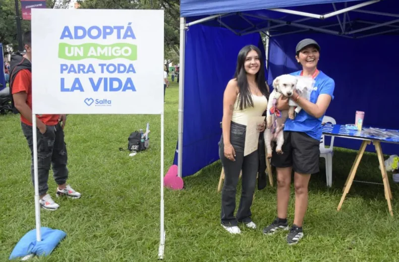 MARATONADOPCIONES6