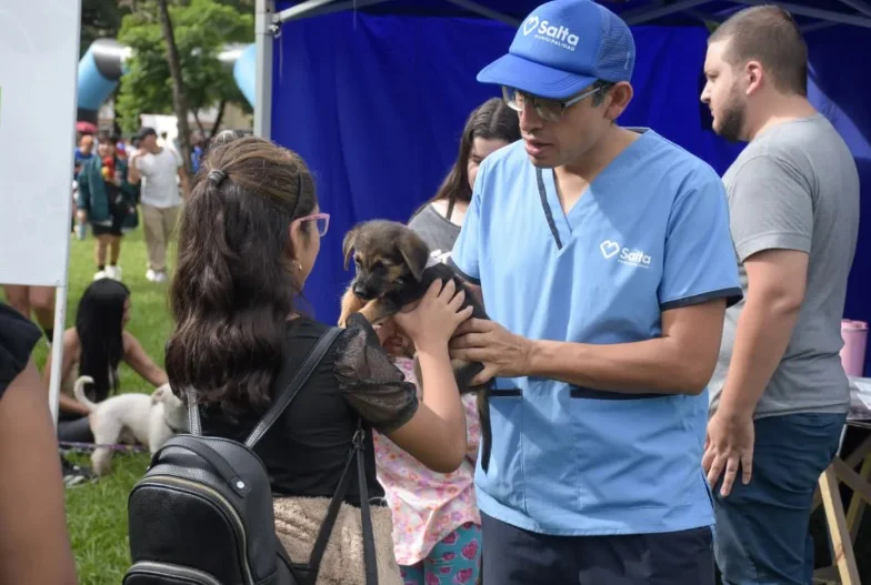 MARATONADOPCIONES3