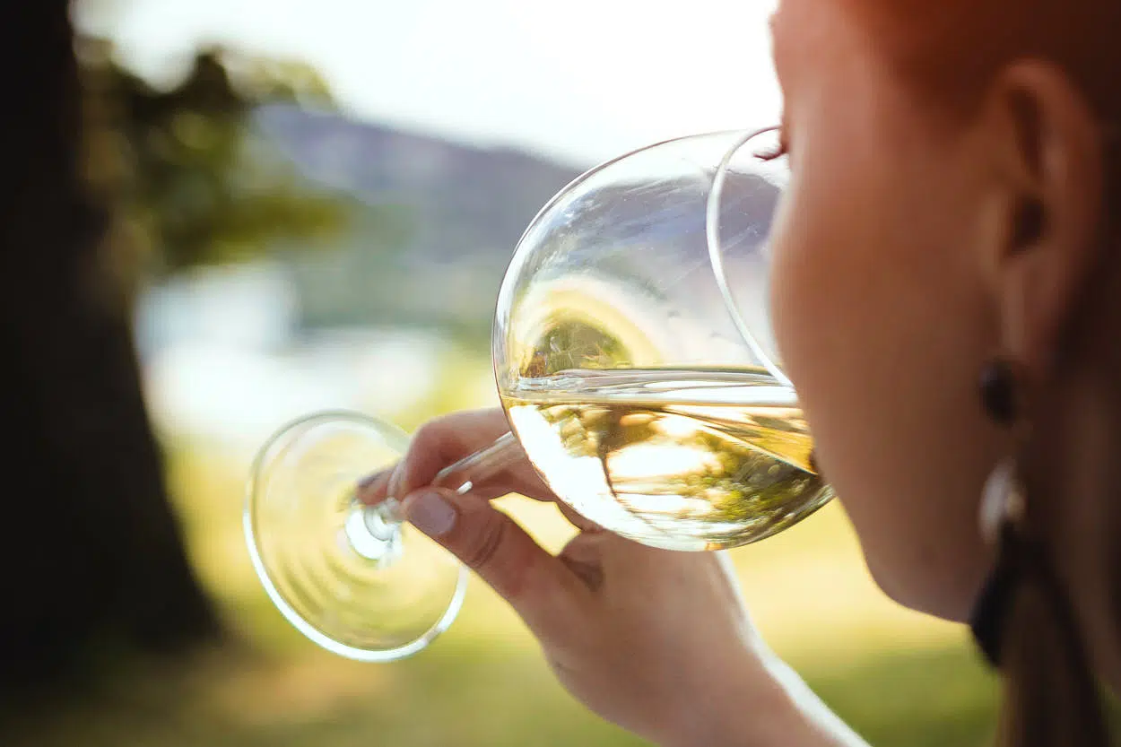 Vinos Primavera