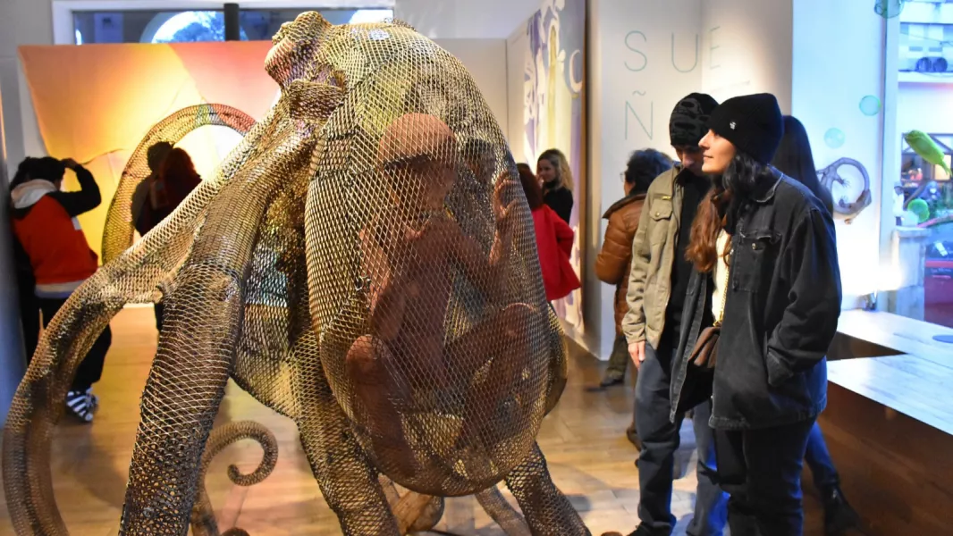 Día de los Museos 04