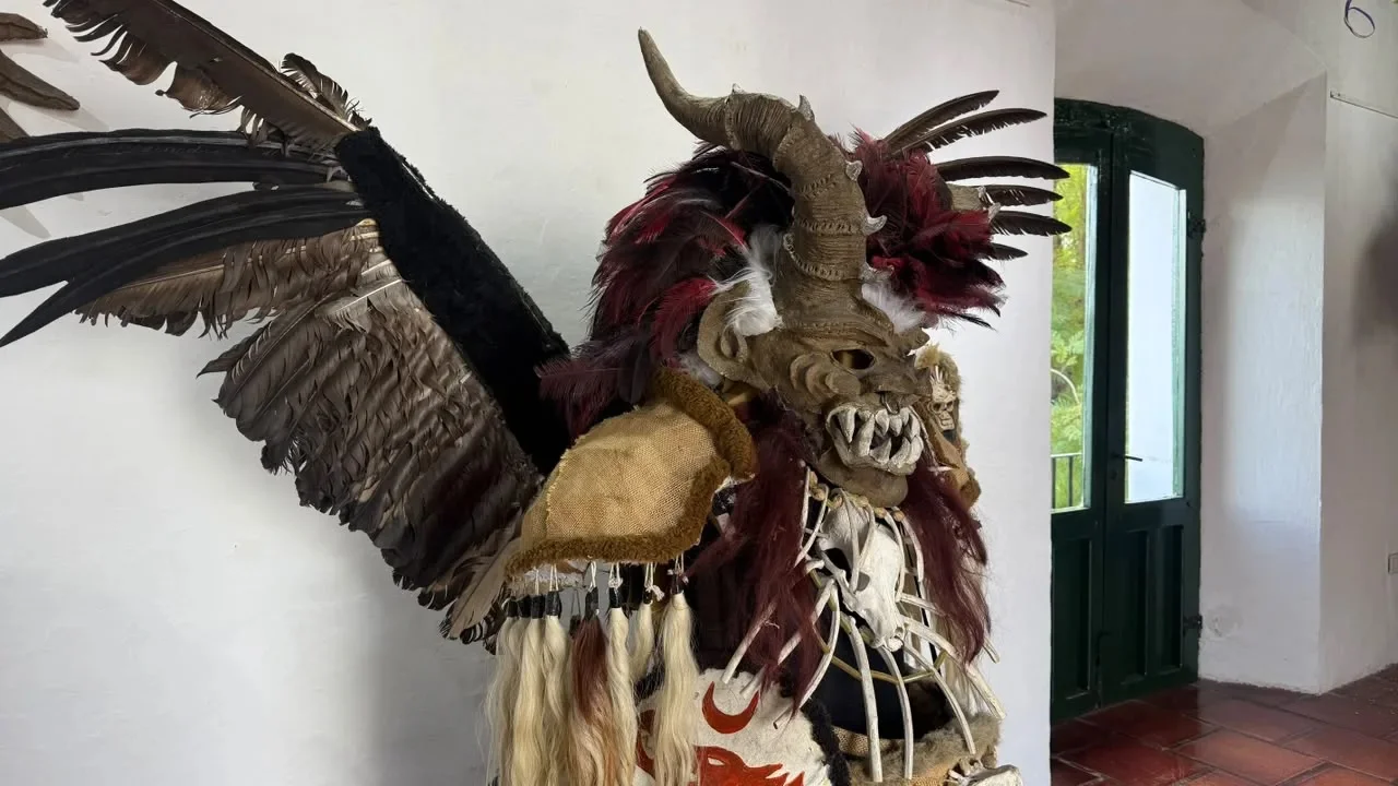 MUSEODECARNAVAL