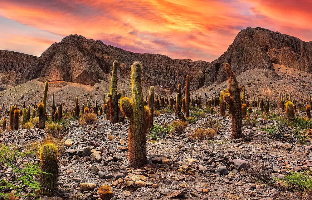 Paisajes de Salta