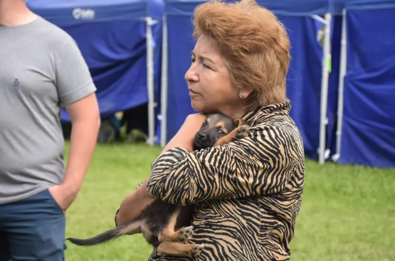 MARATONADOPCIONES5