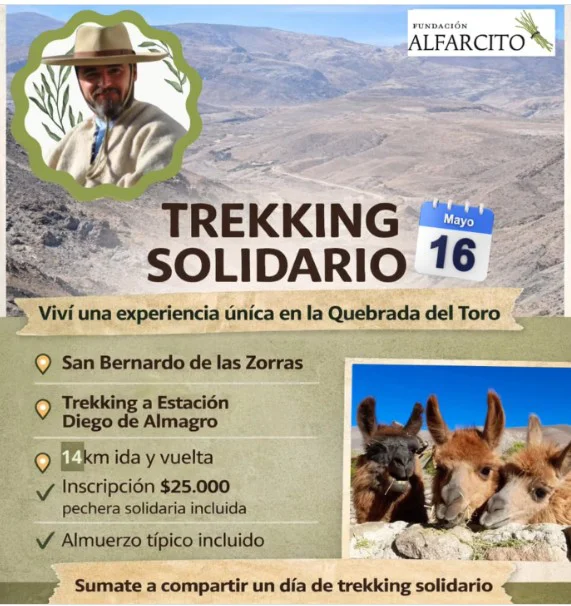 fundacion alfarcito
