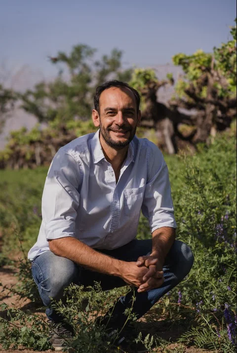 Torrontés Salteño 03