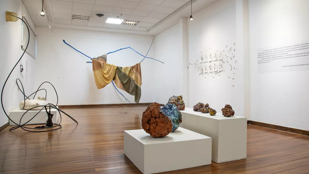 Muestra Museo de Bellas Artes