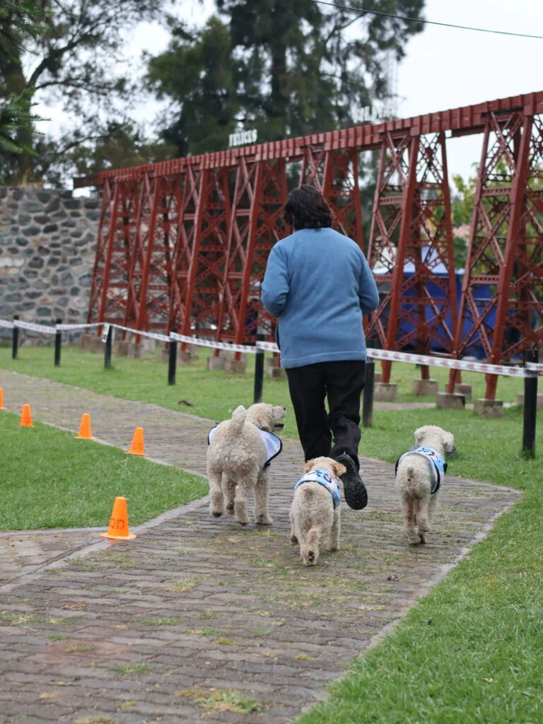 Animal Fest Quijano 03