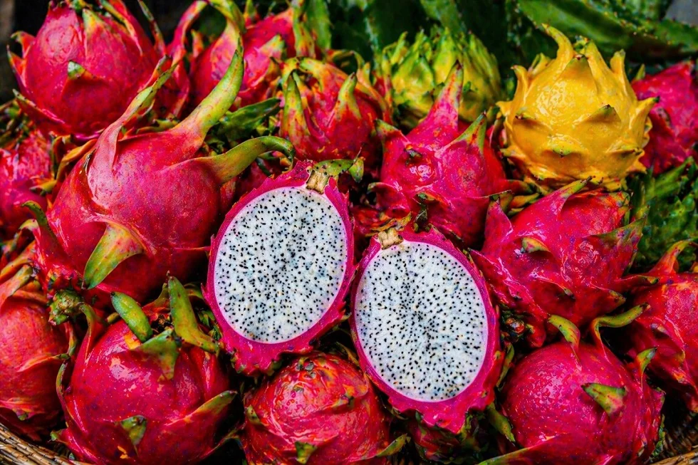 FRUTADELDRAGON